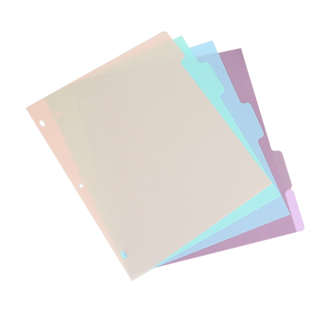 1 Set Plastik-Ordner-Trennblät – Tab Divider A4 Bewertung und Preis