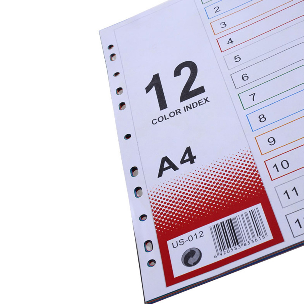 2 Stück Registerblätter, extra – Tab Divider A4 Bewertung und Preis
