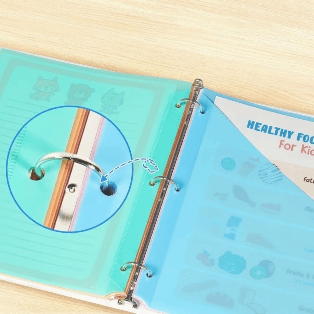 8 Stück A4 Pastellfarbene Tren – Tab Divider A4 Bewertung und Preis